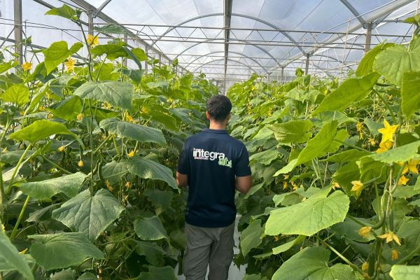  Integra A-T Inaugurates a Premium Greenhouse in Qatar: A Milestone in Sustainable Innovation