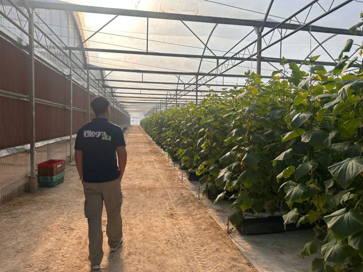  Integra A-T Inaugurates a Premium Greenhouse in Qatar: A Milestone in Sustainable Innovation