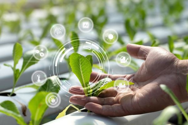 Agricultural Challenges 2025