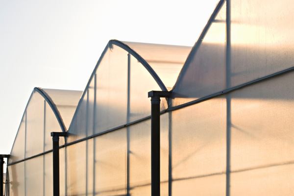 Choosing the Right Greenhouse Plastic: Key Factors for Agricultural Efficiency