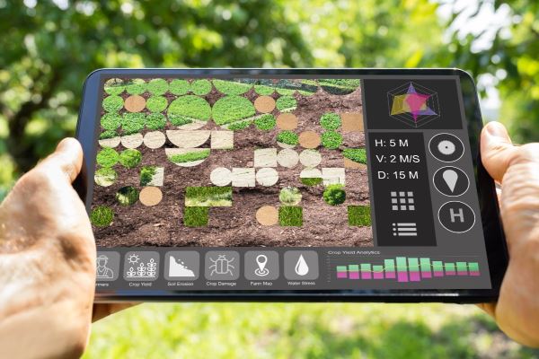 How digital twins help reduce risk in modern agriculture