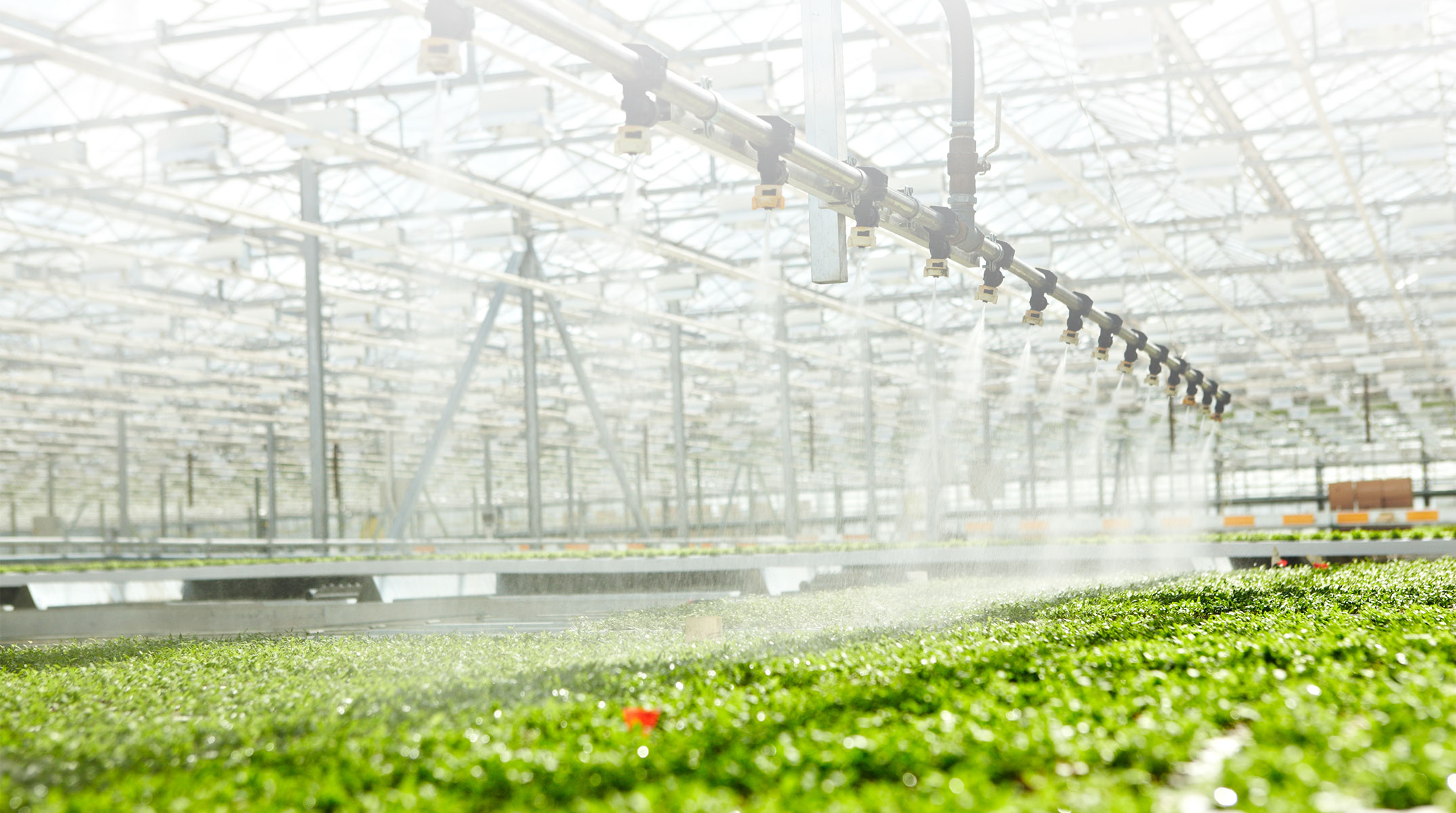 Integra Agricultura y Tecnología S.L.