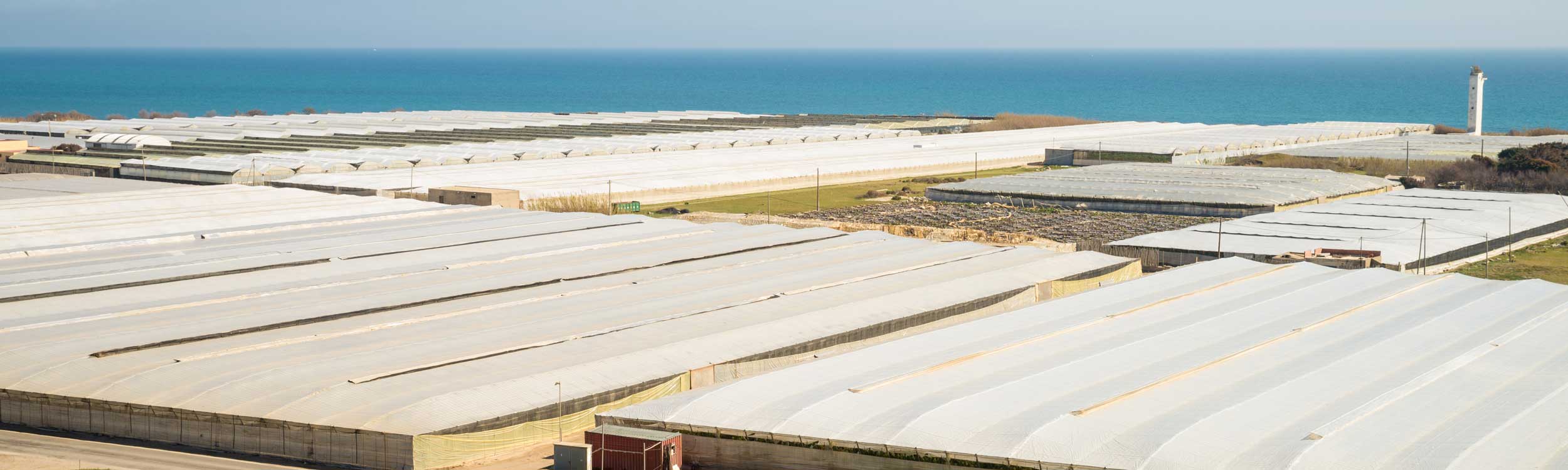 Invernaderos tipo Almería