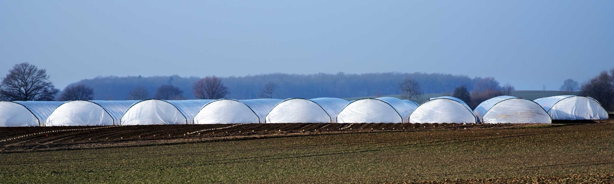 Polytunnel greenhouses