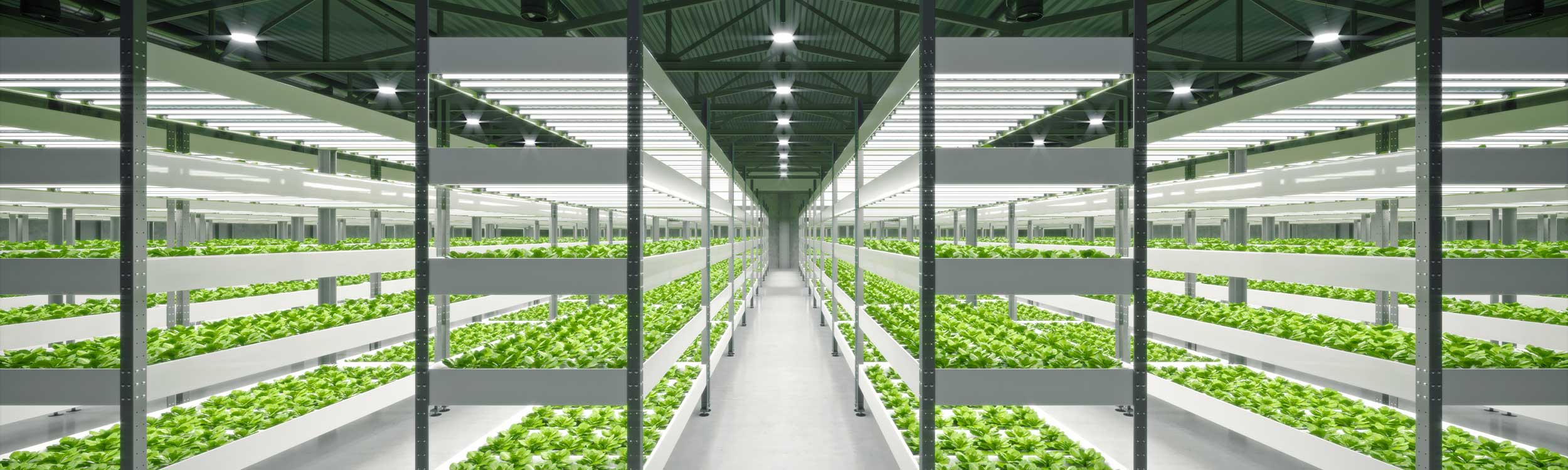 Design of vertical indoor greenhouses