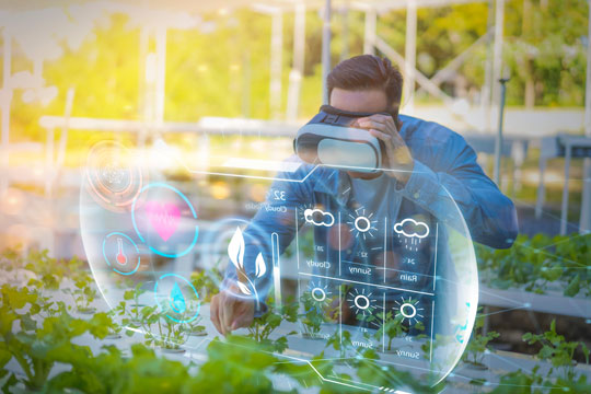 IN WHATEVER CLIMATE CONDITONS AND SOIL