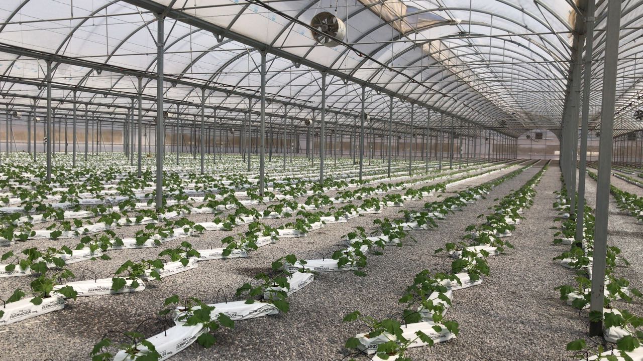 Design of sheet metal warehouse