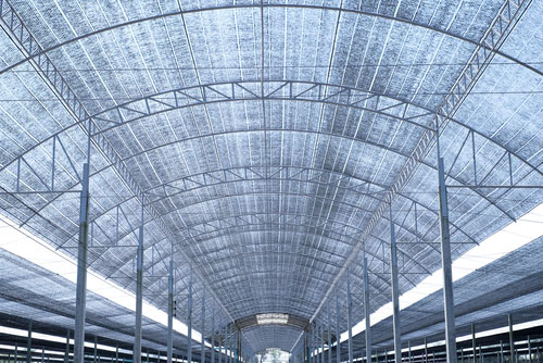 Invernaderos de malla sombra