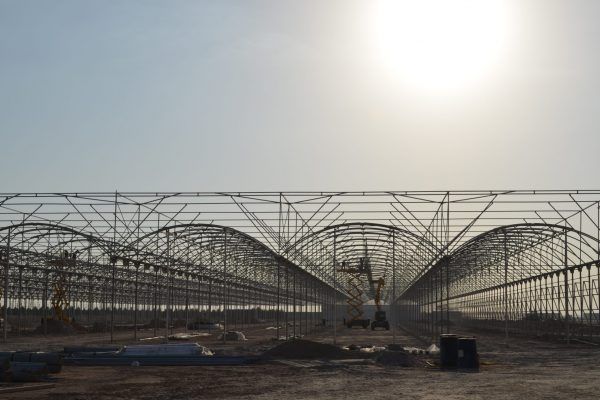 Invernaderos de polietileno