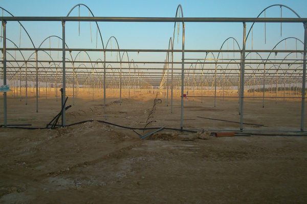 Construcción de invernaderos túnel