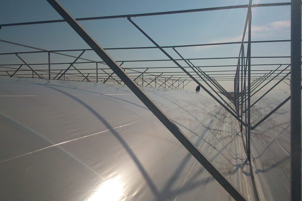 Diseño y construcción de invernaderos túnel