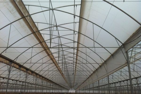 Design and construction of tunnel freenhouses