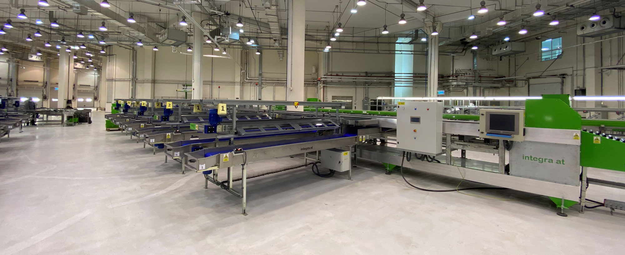 آلة فرز الخضروات